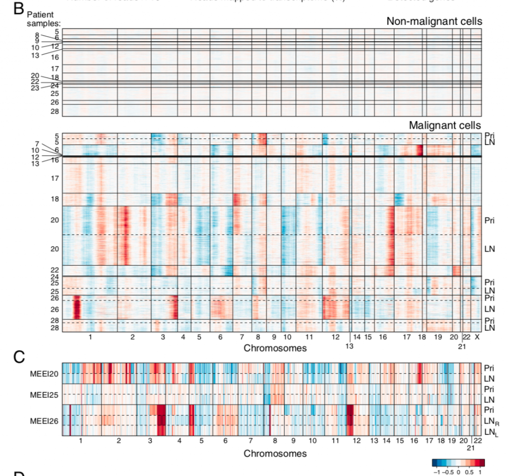 all-patients-cnv-scrnaseq-vs-wes