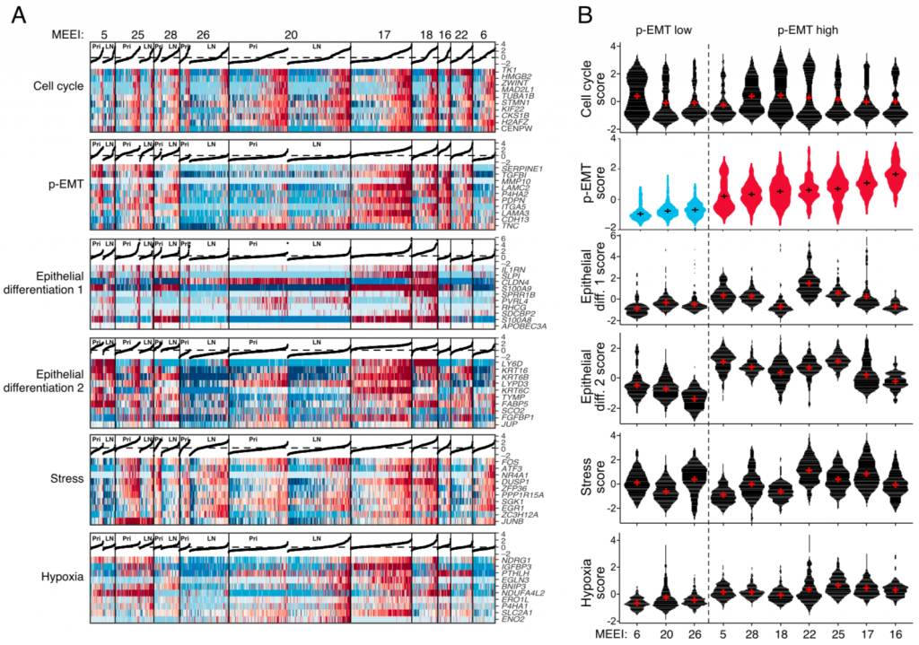 meta-signatures-vs-pemt-in-all-patients