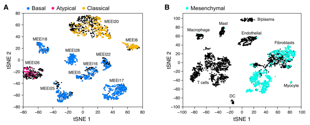 t-sne-over-tcga-subtype