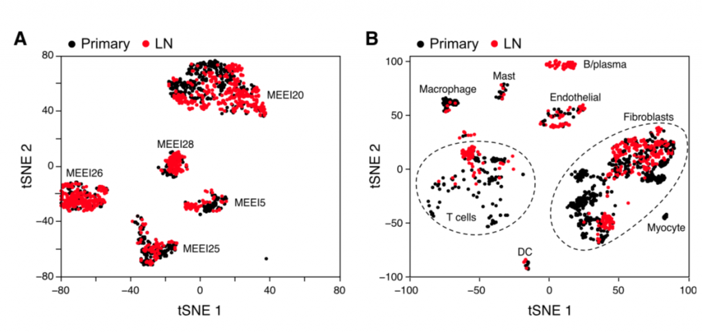 t-sne-over-tumor-sites