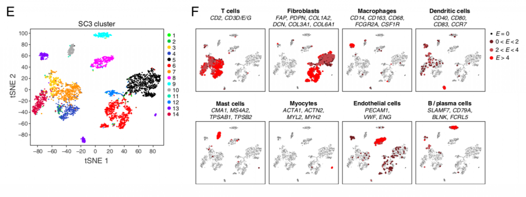 t-sne-plot-of-non-malignant-cells