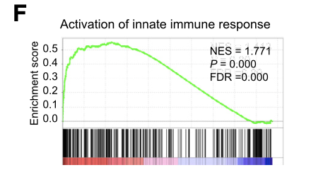 文献：Decoding Human Megakaryocyte Development