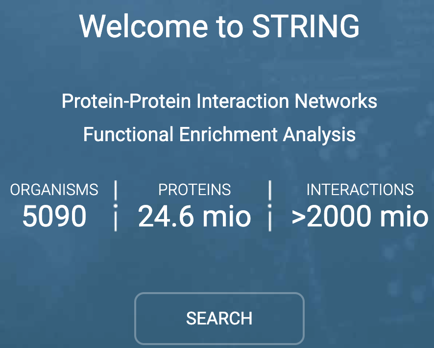 Sting数据库