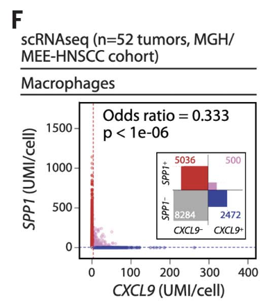 16,292 macrophages 