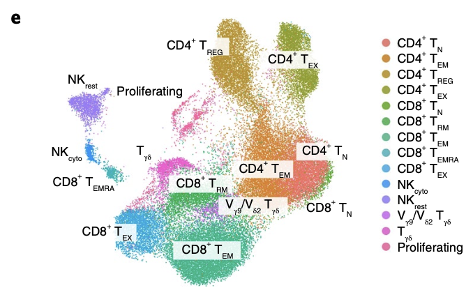 A single-cell map of intratumoral changes during anti-PD1 treatment of patients with breast cancer