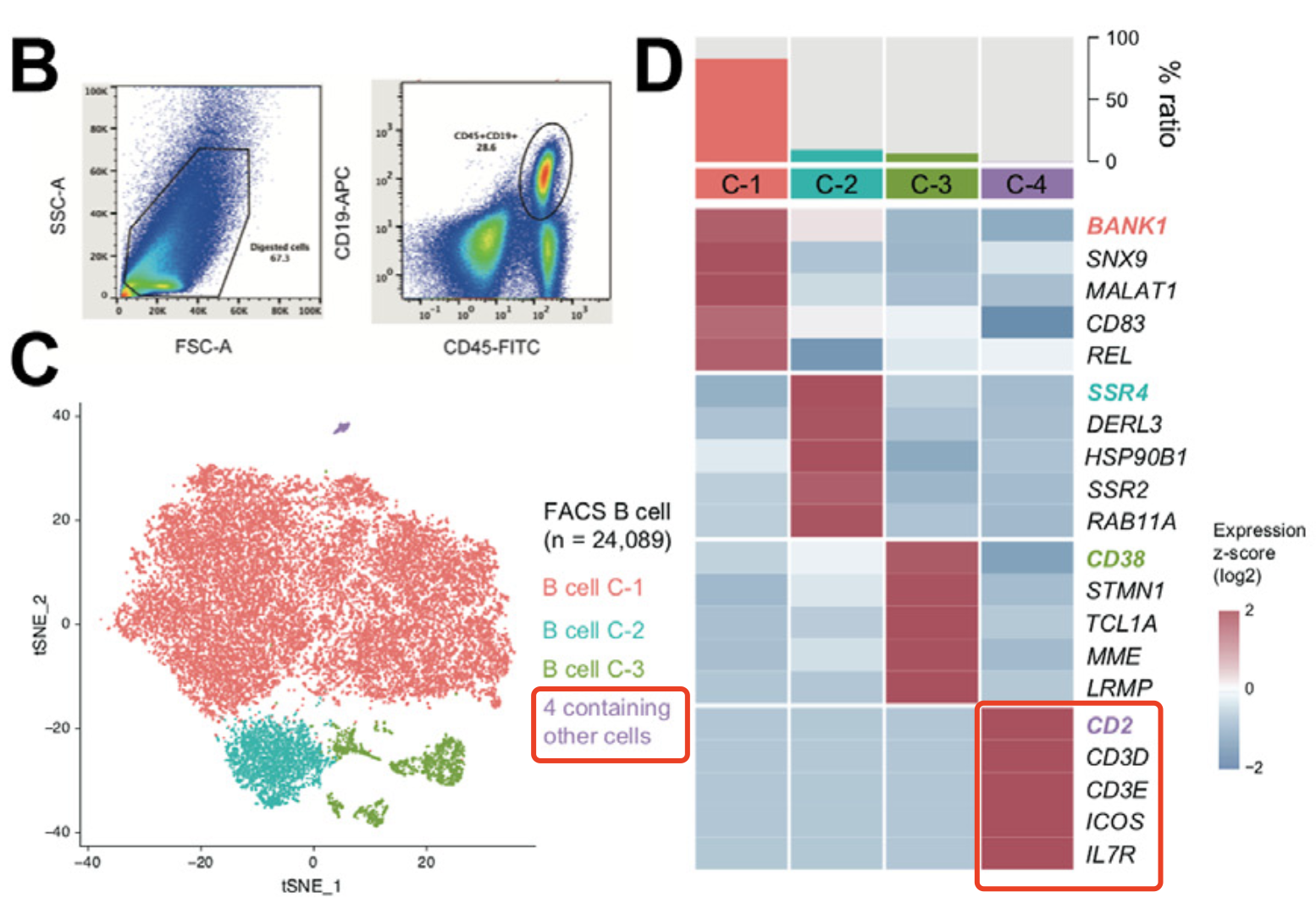 The sorted CD45+CD19+ B cells 