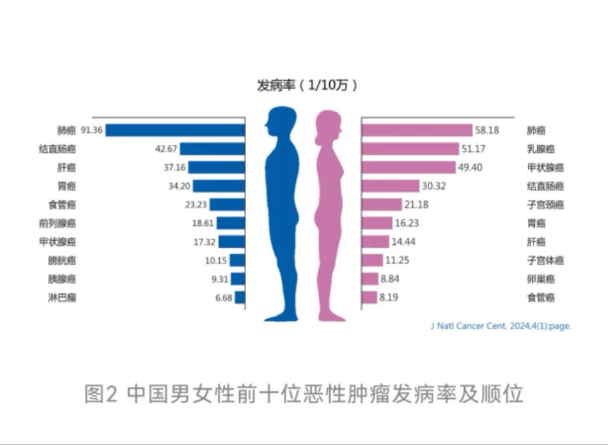 癌症的发生发展情况以及名字而已